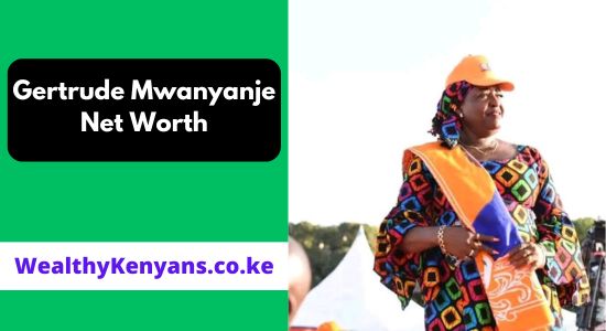 Gertrude Mbeyu Mwanyanje Net Worth & Biography 2026