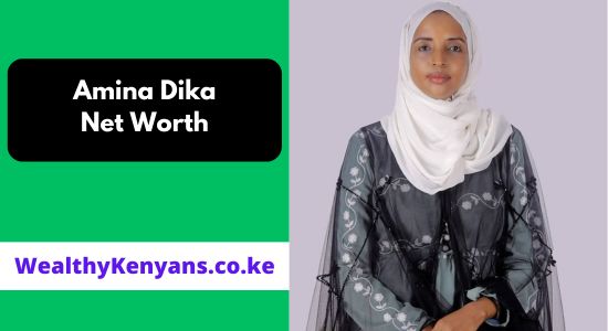 Amina Dika Net Worth & Biography 2026