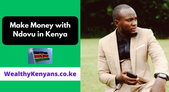 How to Make Money with Ndovu in Kenya 2026 Complete Guide