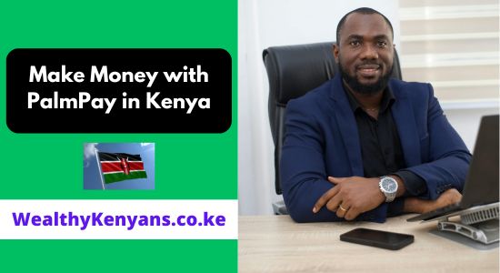 How to Make Money with PalmPay in Kenya 2026 Complete Guide